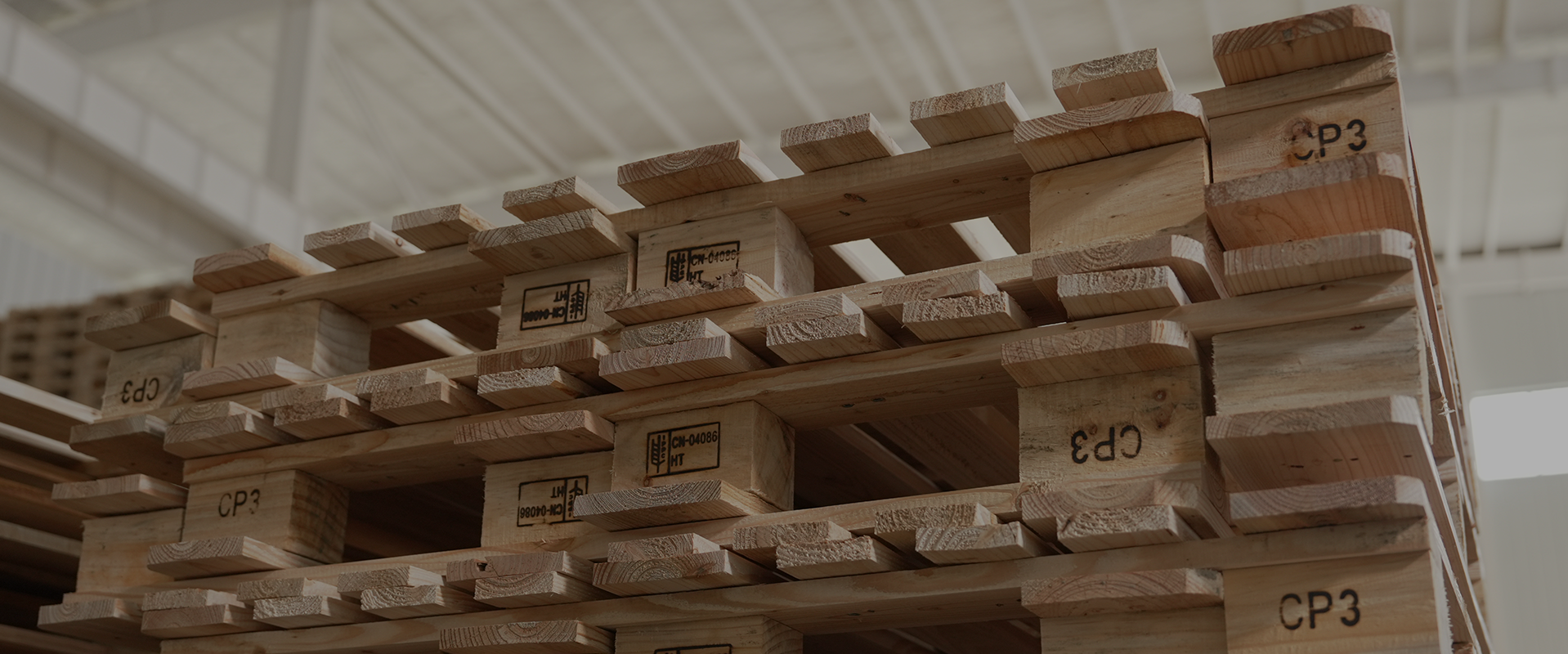 حكمة واتسون